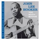 John Lee Hooker : Too much Boogie